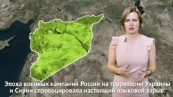 Формула непризнания: власти РФ о россиянах в Сирии